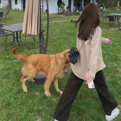 灌篮高手3