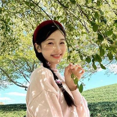 坚如磐石2